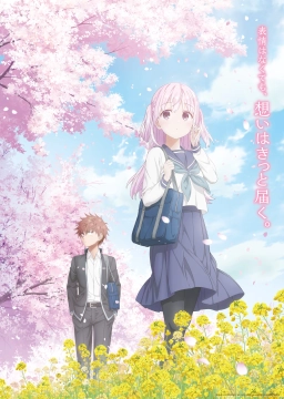 کاشیوادای بی تعبیر و اووتای پرتعبیر