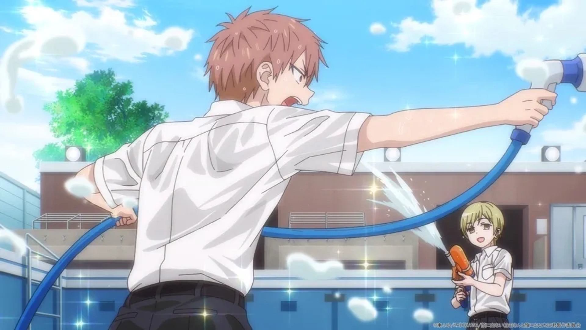 کاشیوادای بی تعبیر و اووتای پرتعبیر