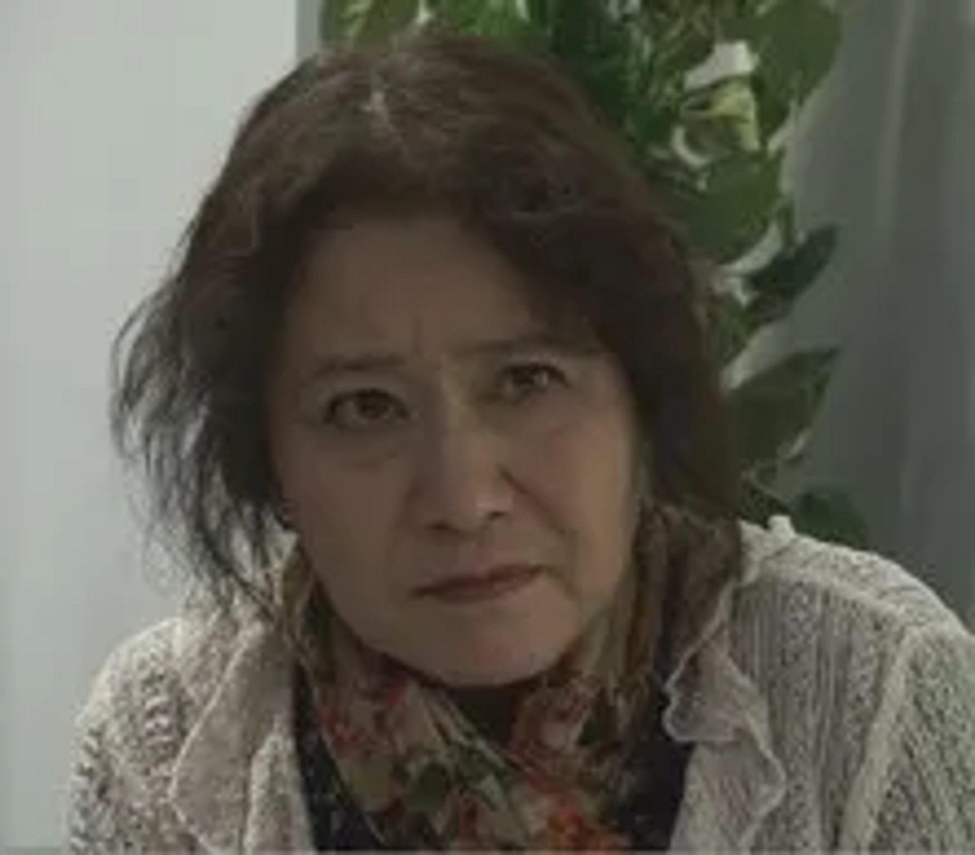 کای فوجیوارا