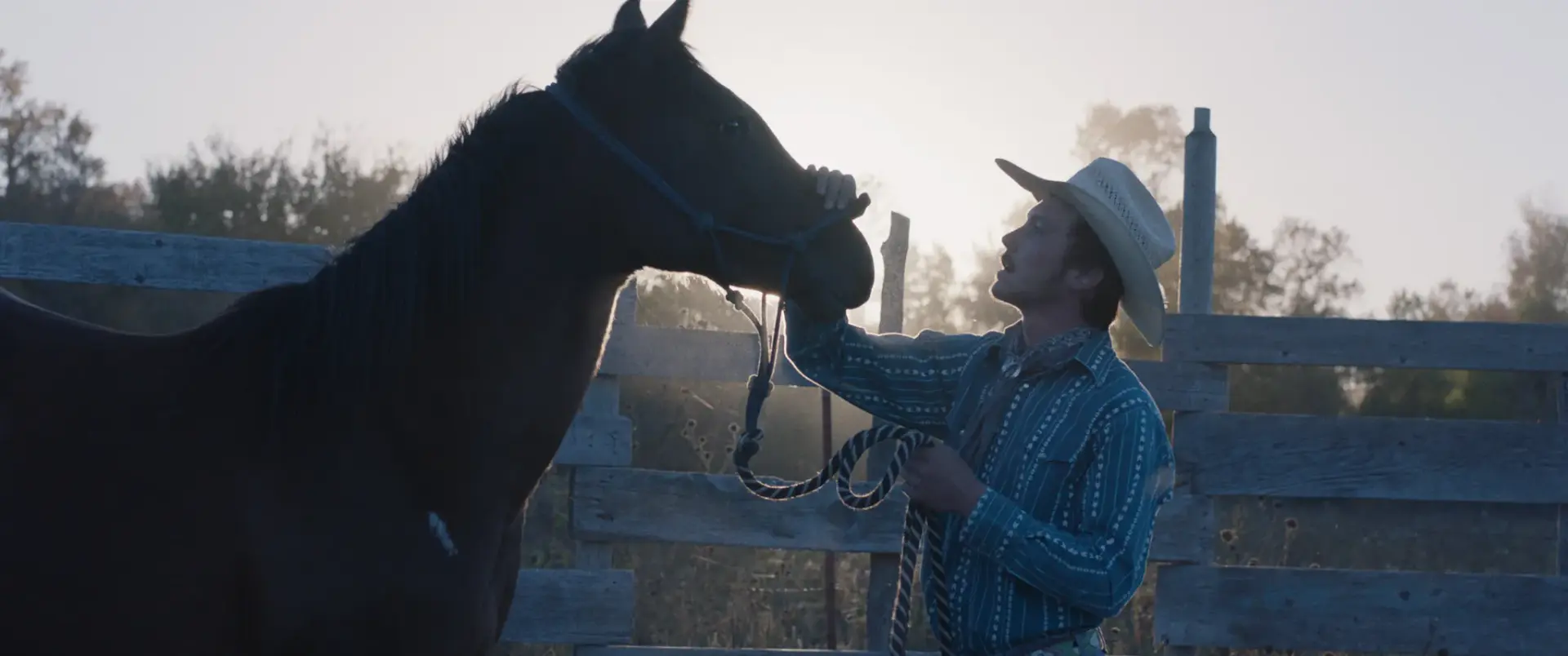 فیلم سوارکار (The Rider 2017)