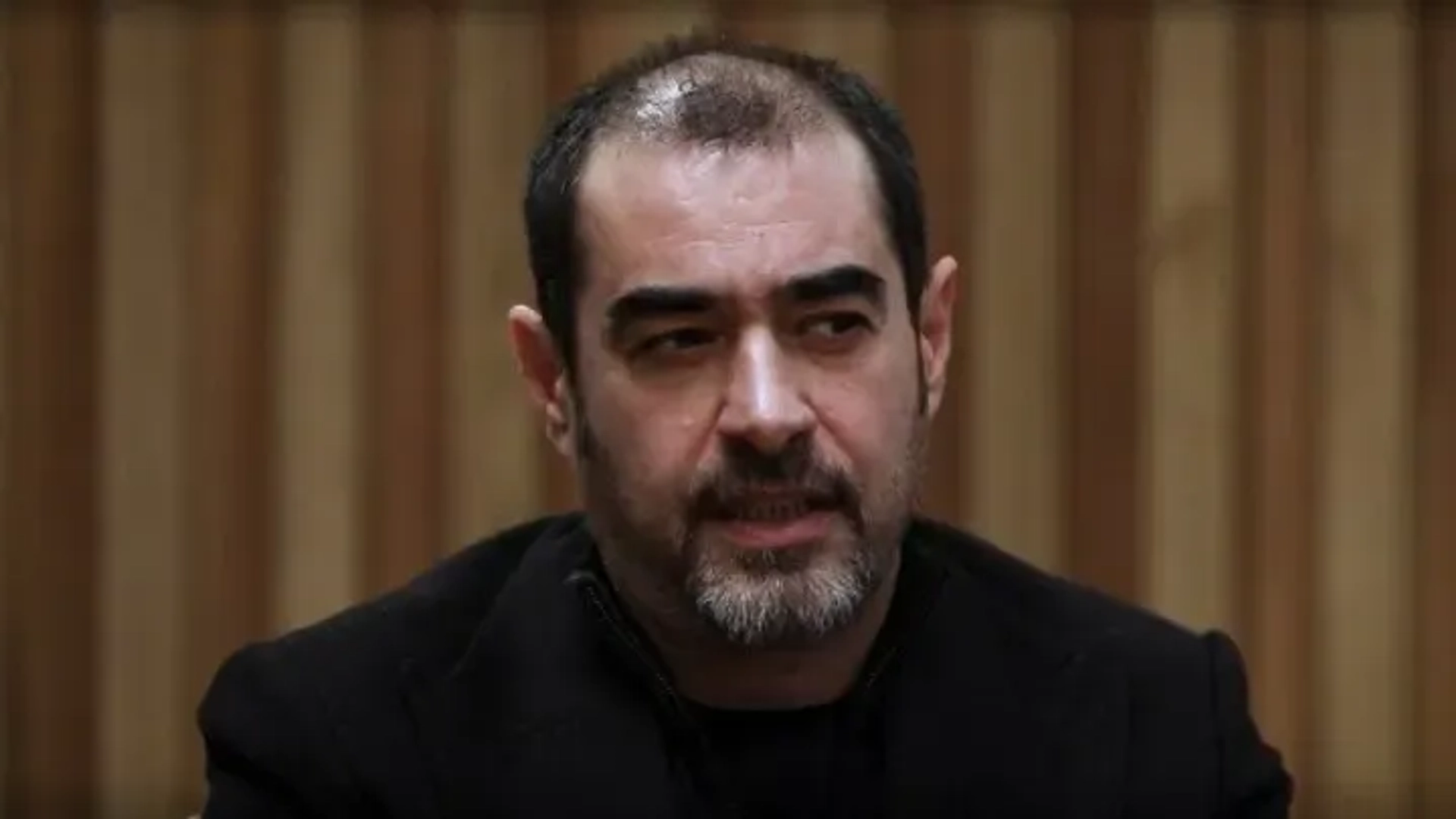 شهاب حسینی مشاور یک سریال جدید شد