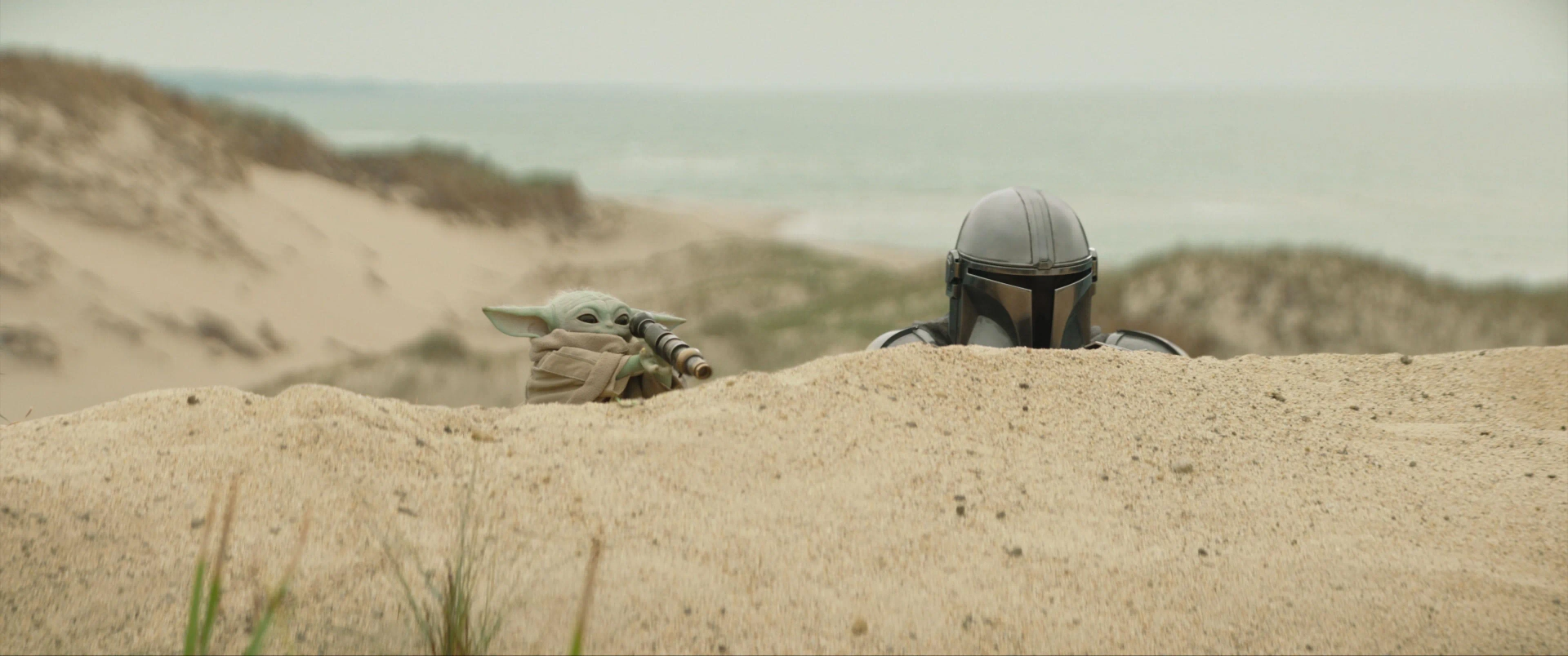جنگ ستارگان: مندلورین و گروگو (Star Wars: The Mandalorian and Grogu 2026)