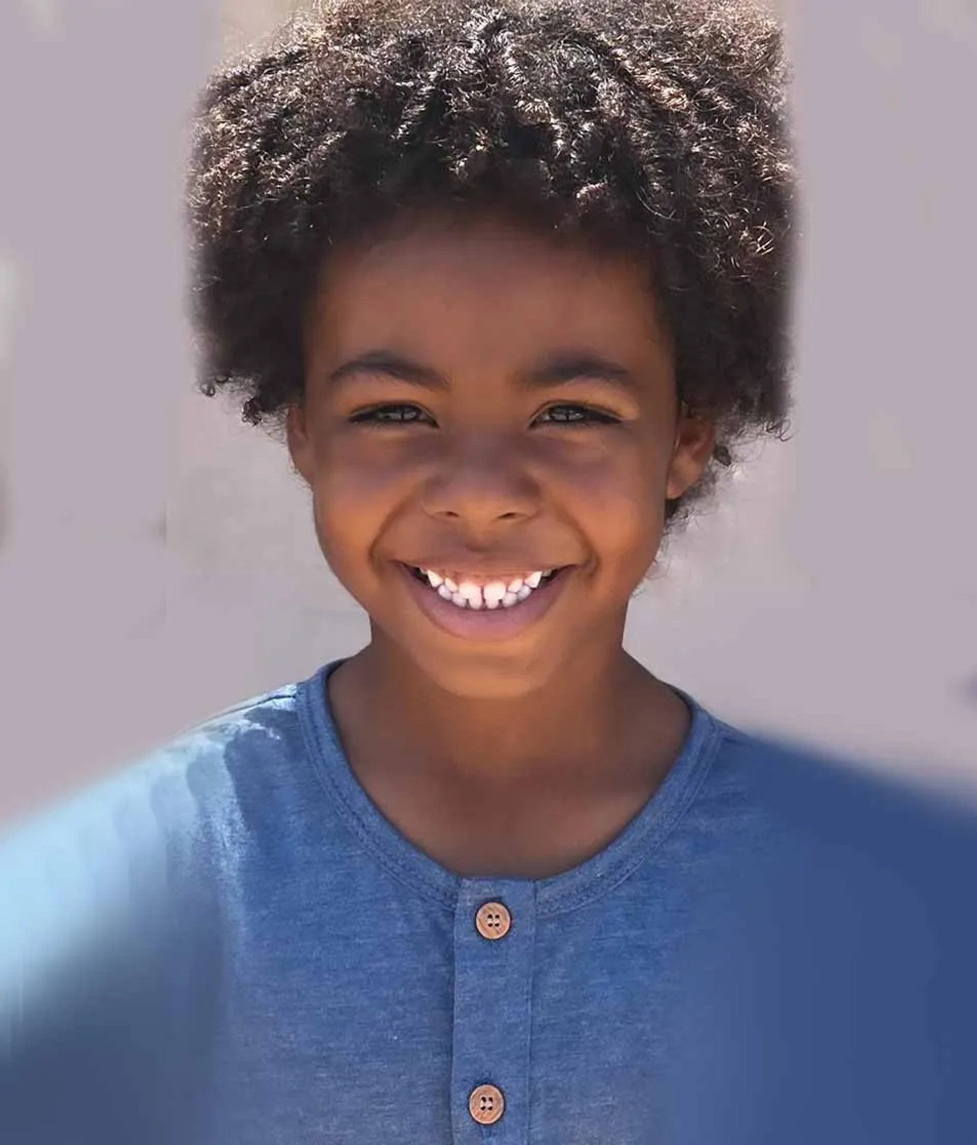 دومینیک استفنس