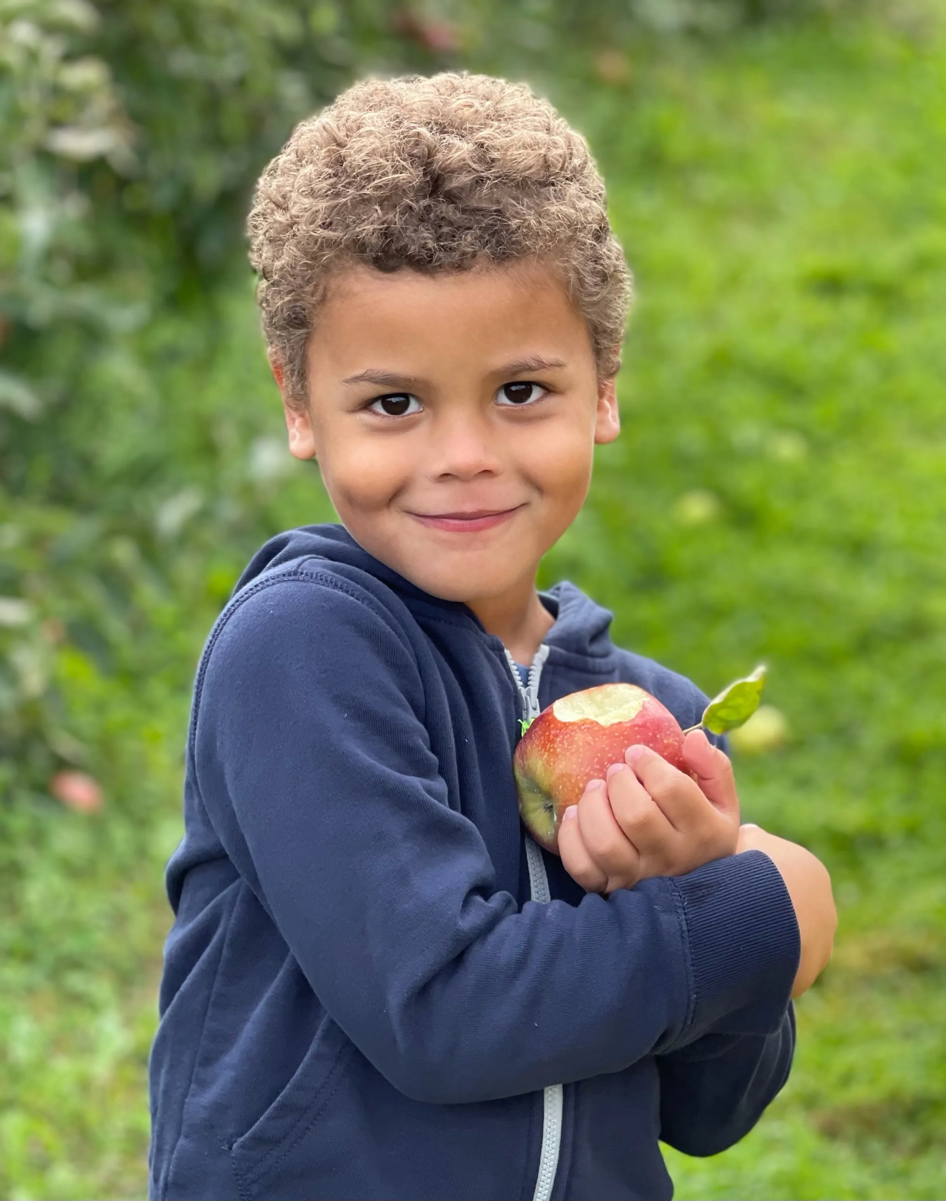 مایلز مک نیکول