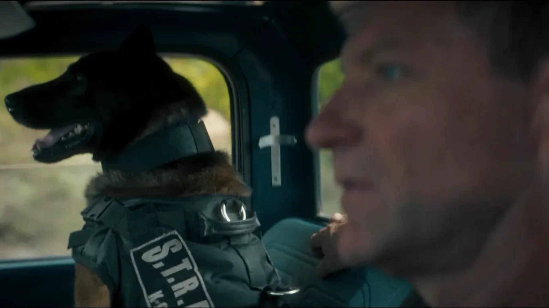 تریلر فیلم پوزه‌بند شهر گرگ‌ها ۲۰۲۵ Muzzle City of Wolves