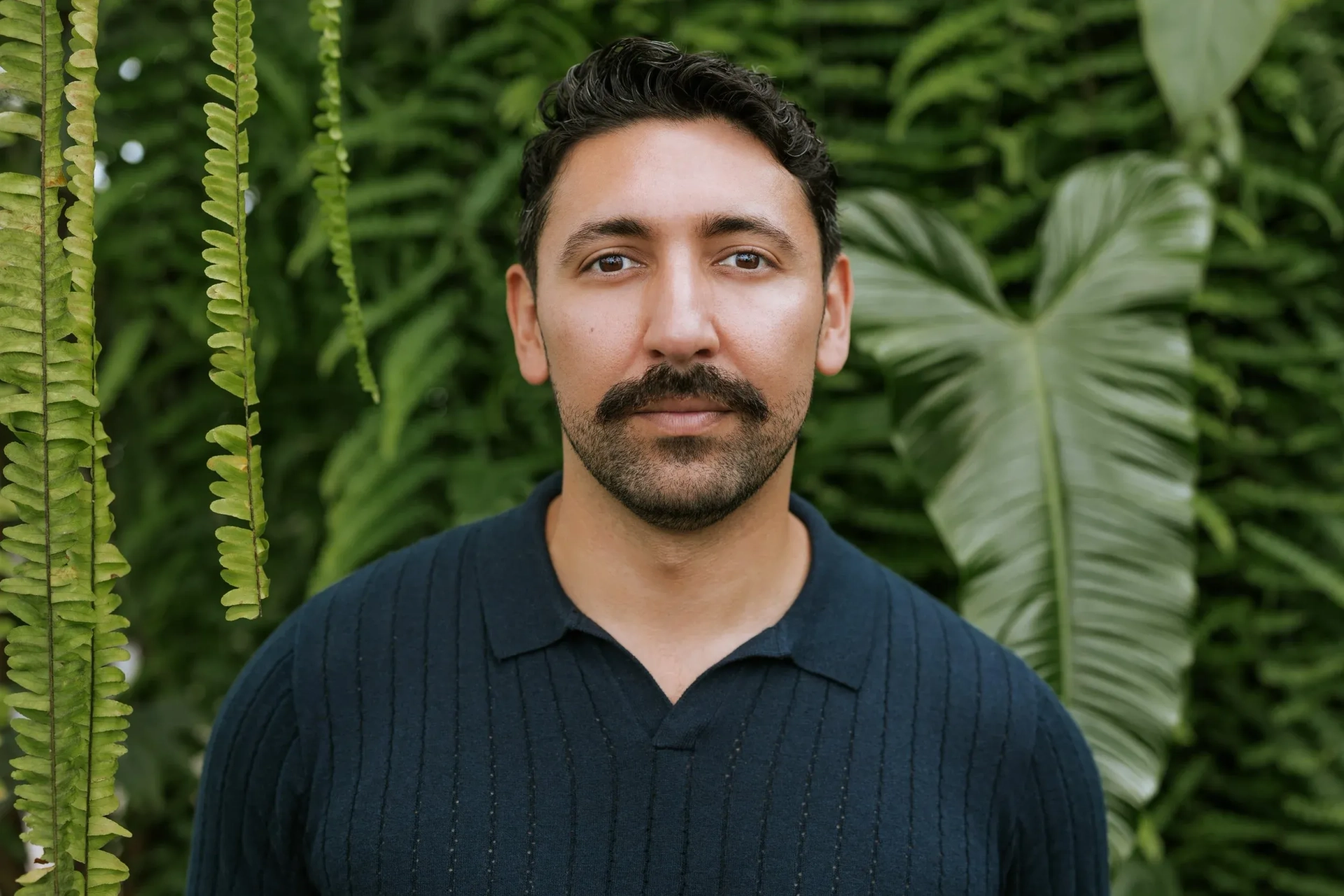 افراین سولیس