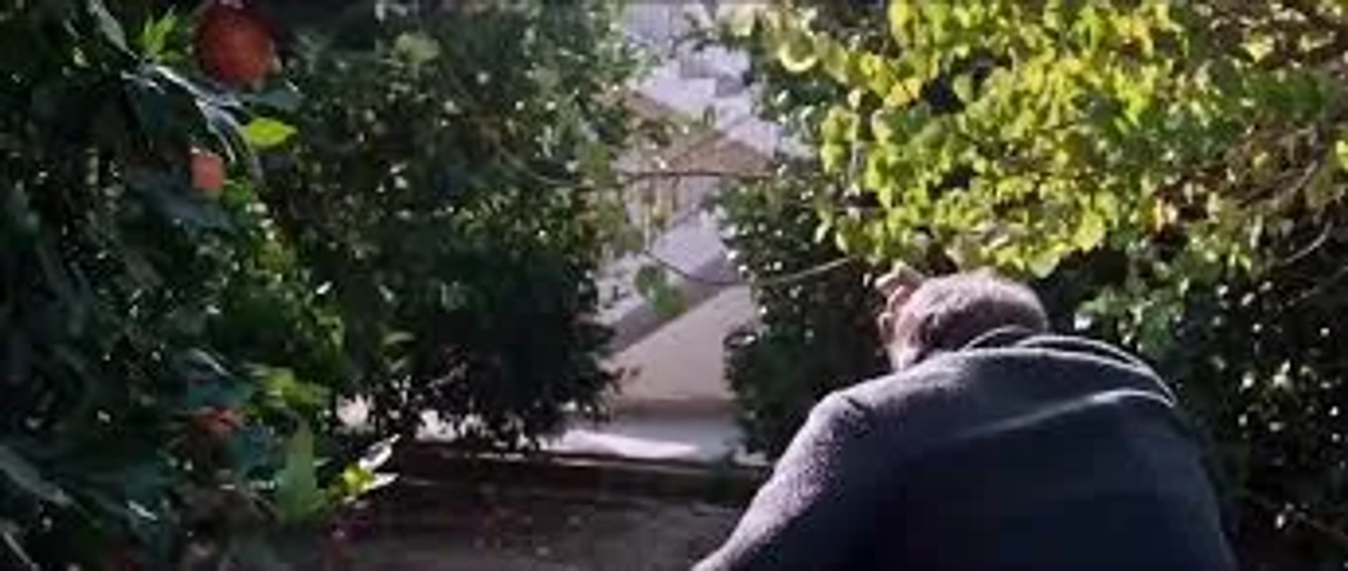 سریال ترکی جانشین Halef Köklerin Çağrısı 2025