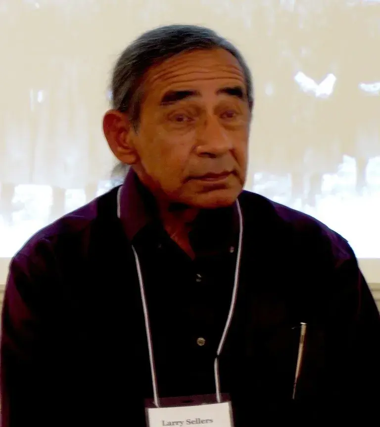 لری سلرز