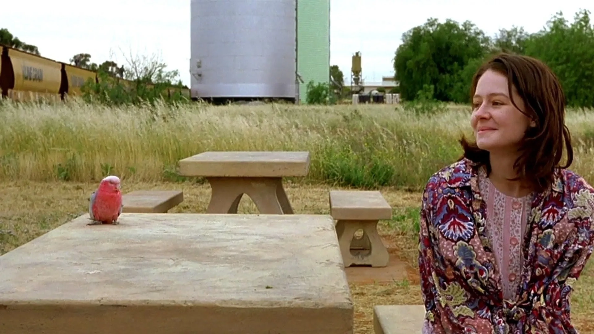 فیلم سرناد عشق (Love Serenade 1996)