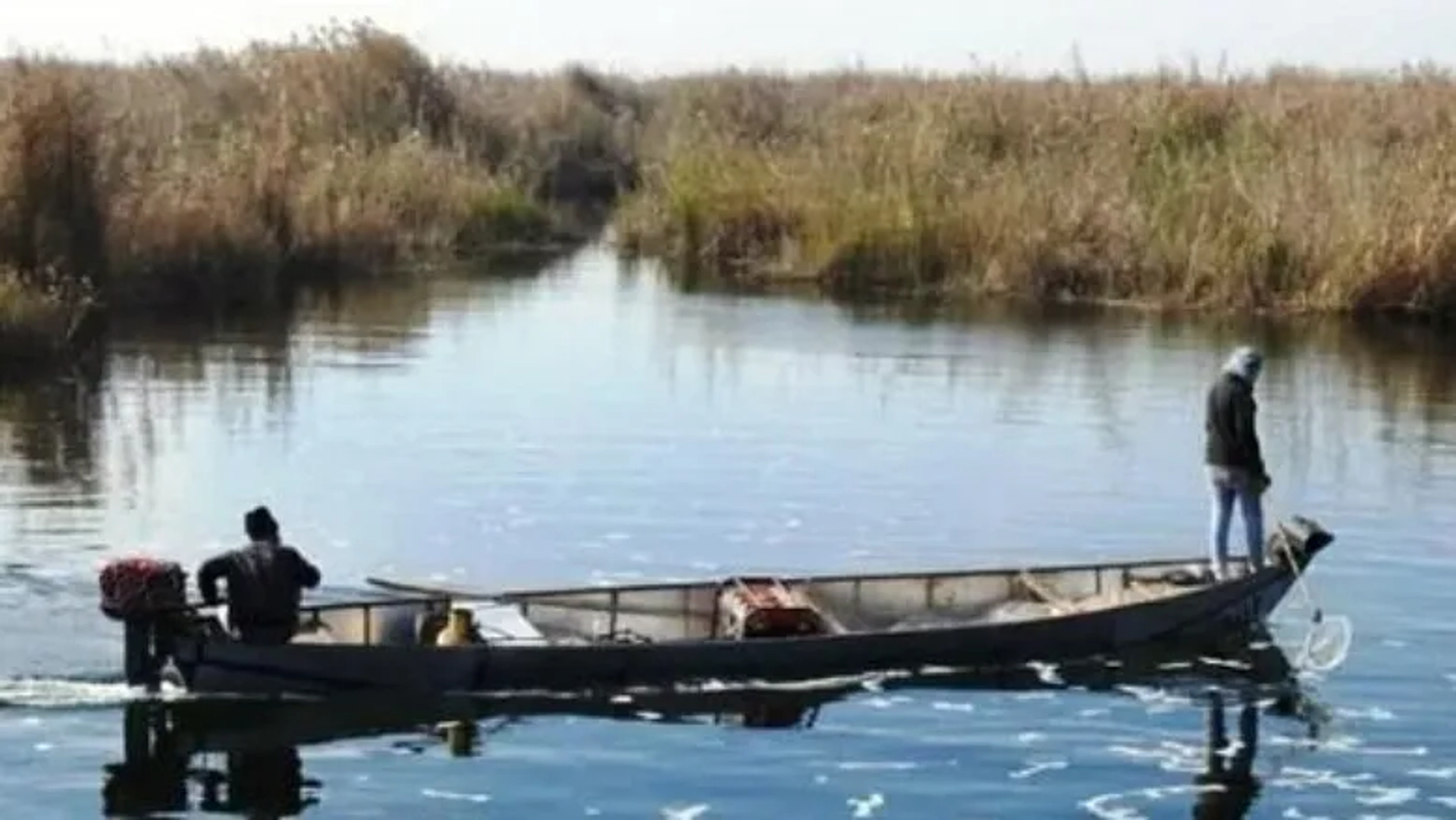 «بنت الهور» در عراق خوش درخشید؛ روایت تلخ هورنشینان خوزستان با دو جایزه