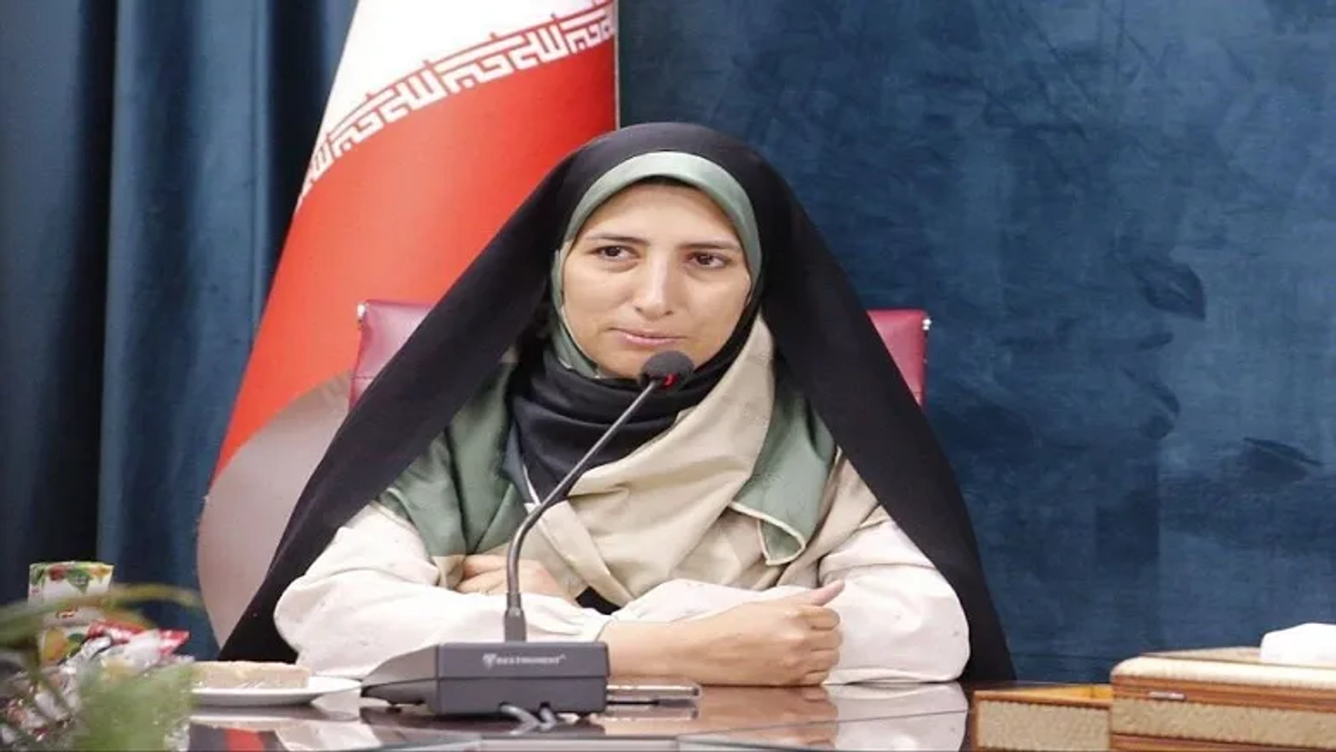 معاون امور زنان: طنز سالم می‌تواند به انس خانوادگی کمک کند