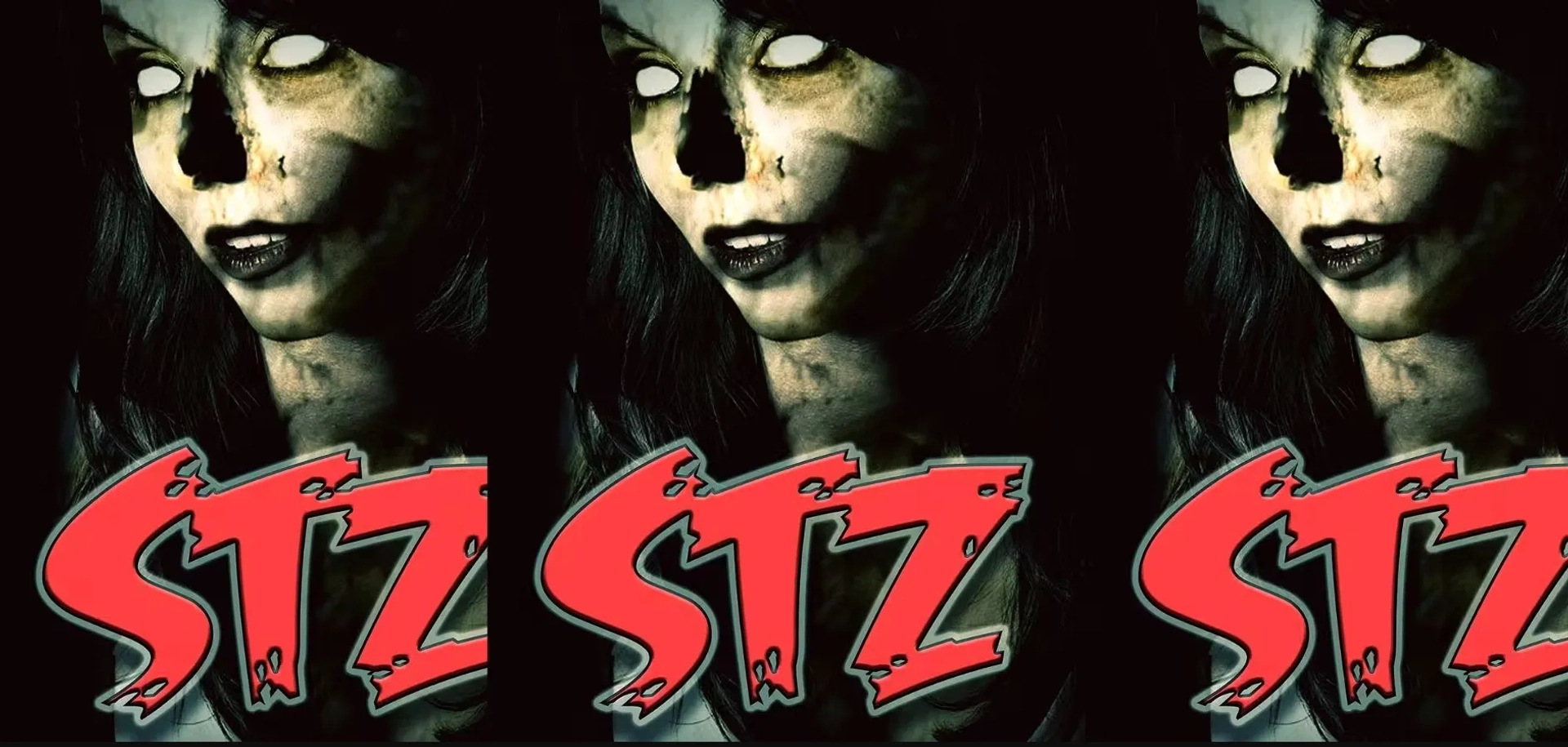 فیلم اس تی زد (STZ 2025)