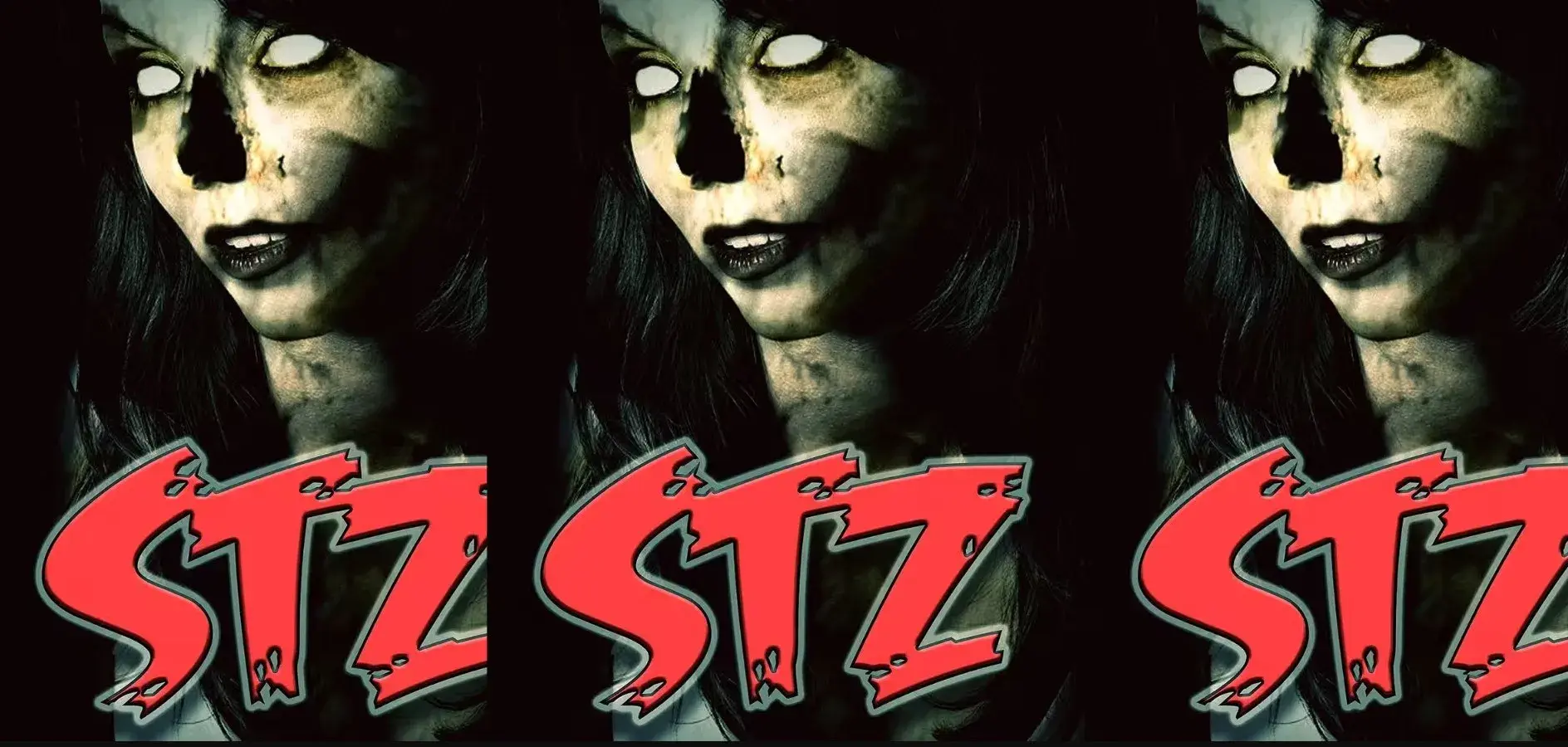 فیلم اس تی زد (STZ 2025)