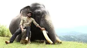 تریلر فیلم کومکی ۲ ۲۰۲۵ Kumki 2