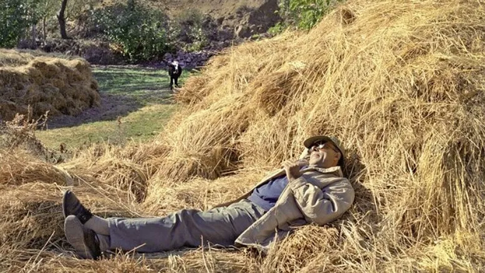 راز عکس متفاوت عباس کیارستمی روی پوستر جشنواره فجر؛ یک ثبت کاملاً اتفاقی