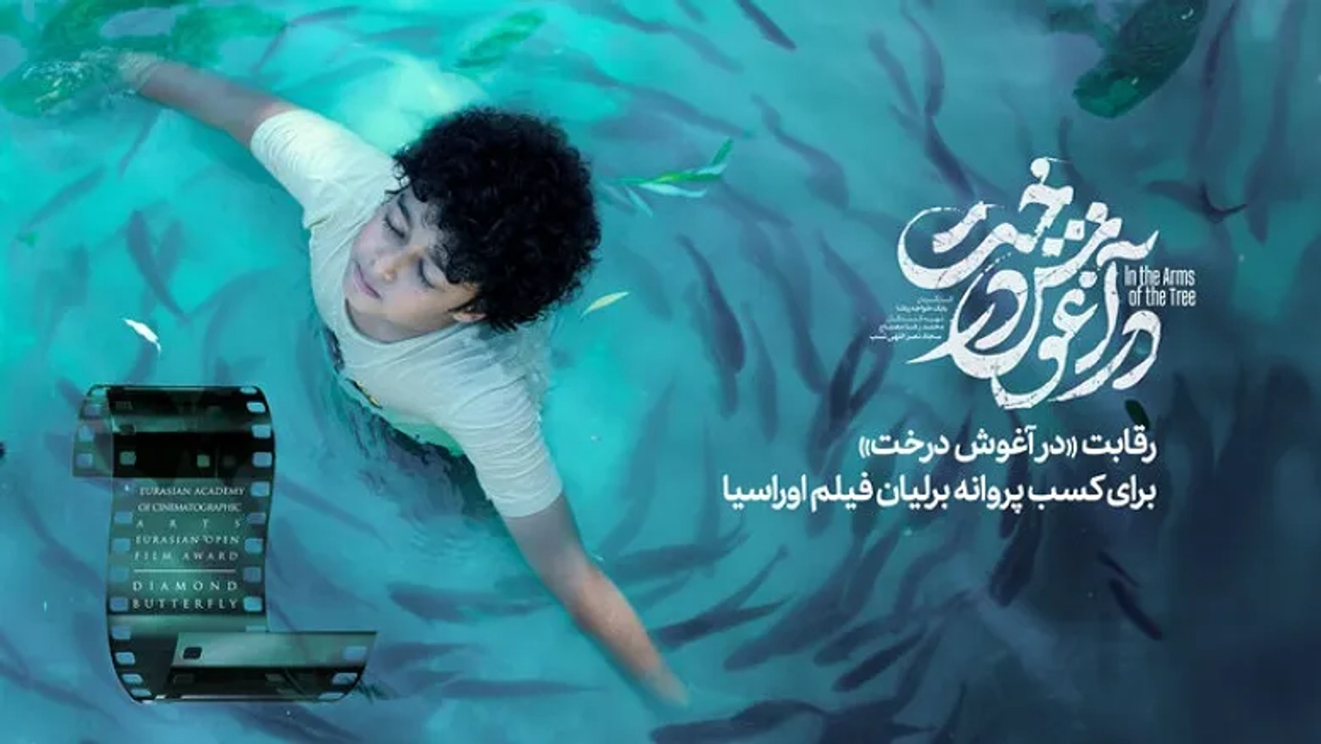 فیلم ایرانی «در آغوش درخت» در رقابت برای جایزه بین‌المللی پروانه برلیان