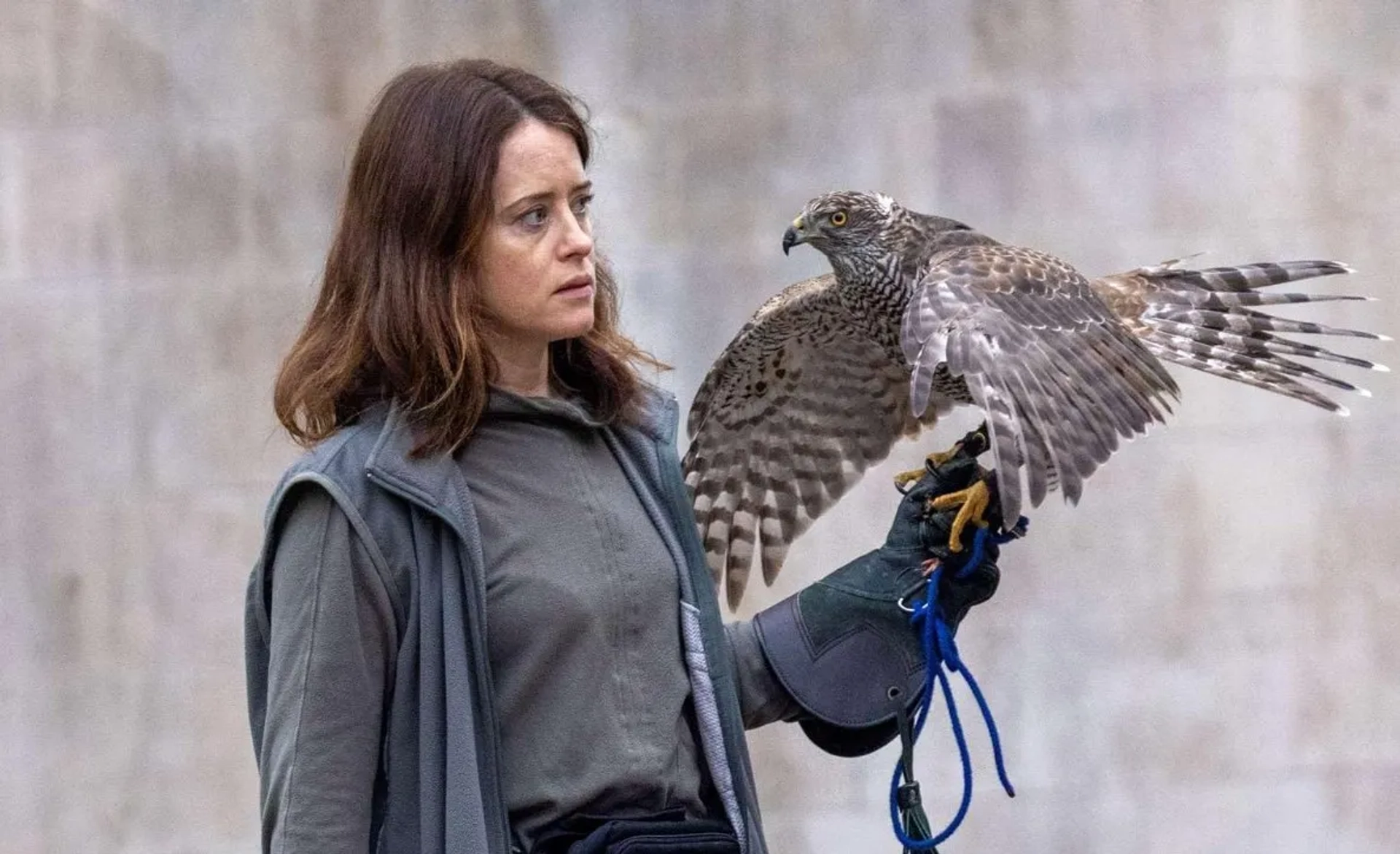 فیلم اچ مثل شاهین است (H Is for Hawk 2025)