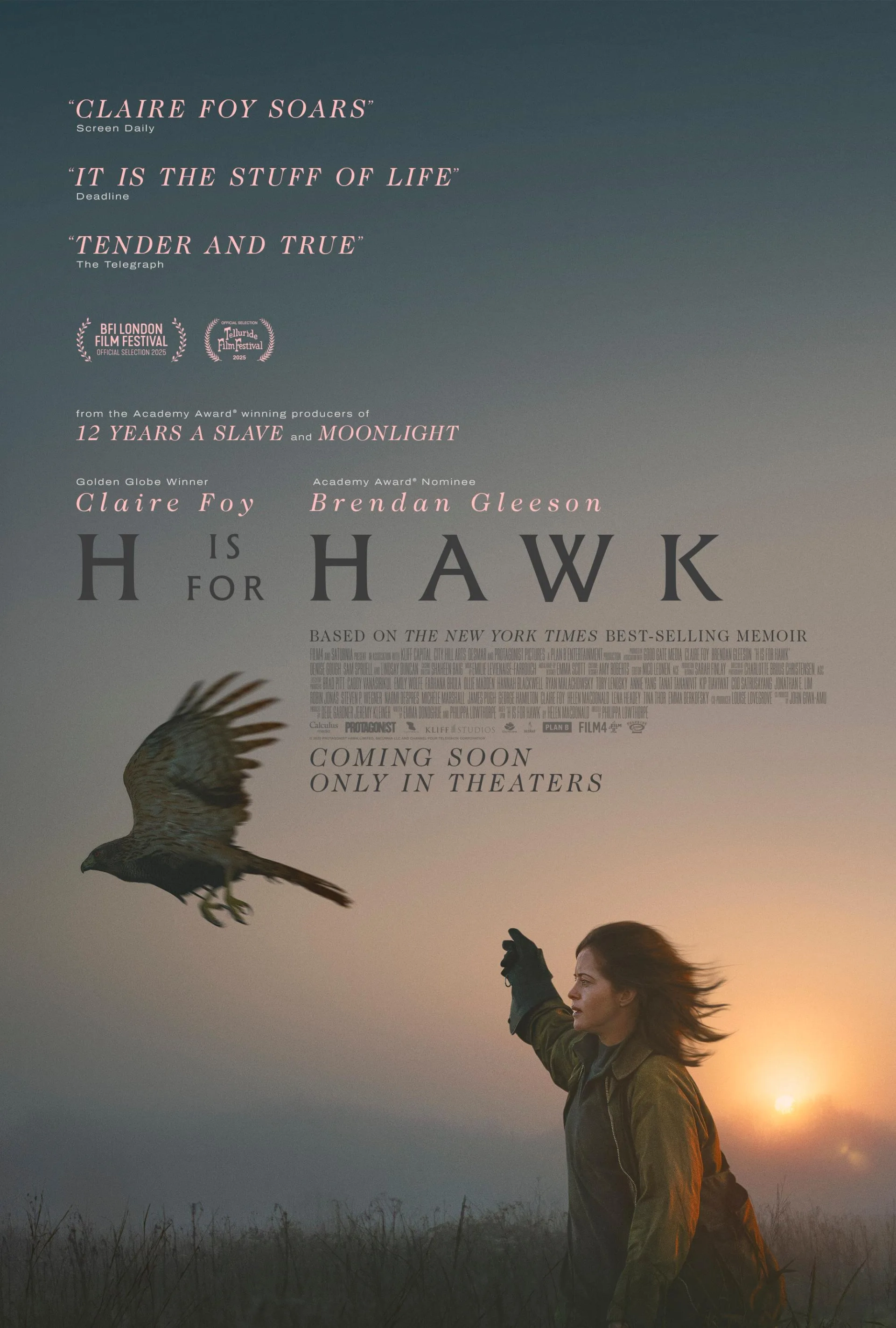 فیلم اچ مثل شاهین است (H Is for Hawk 2025)