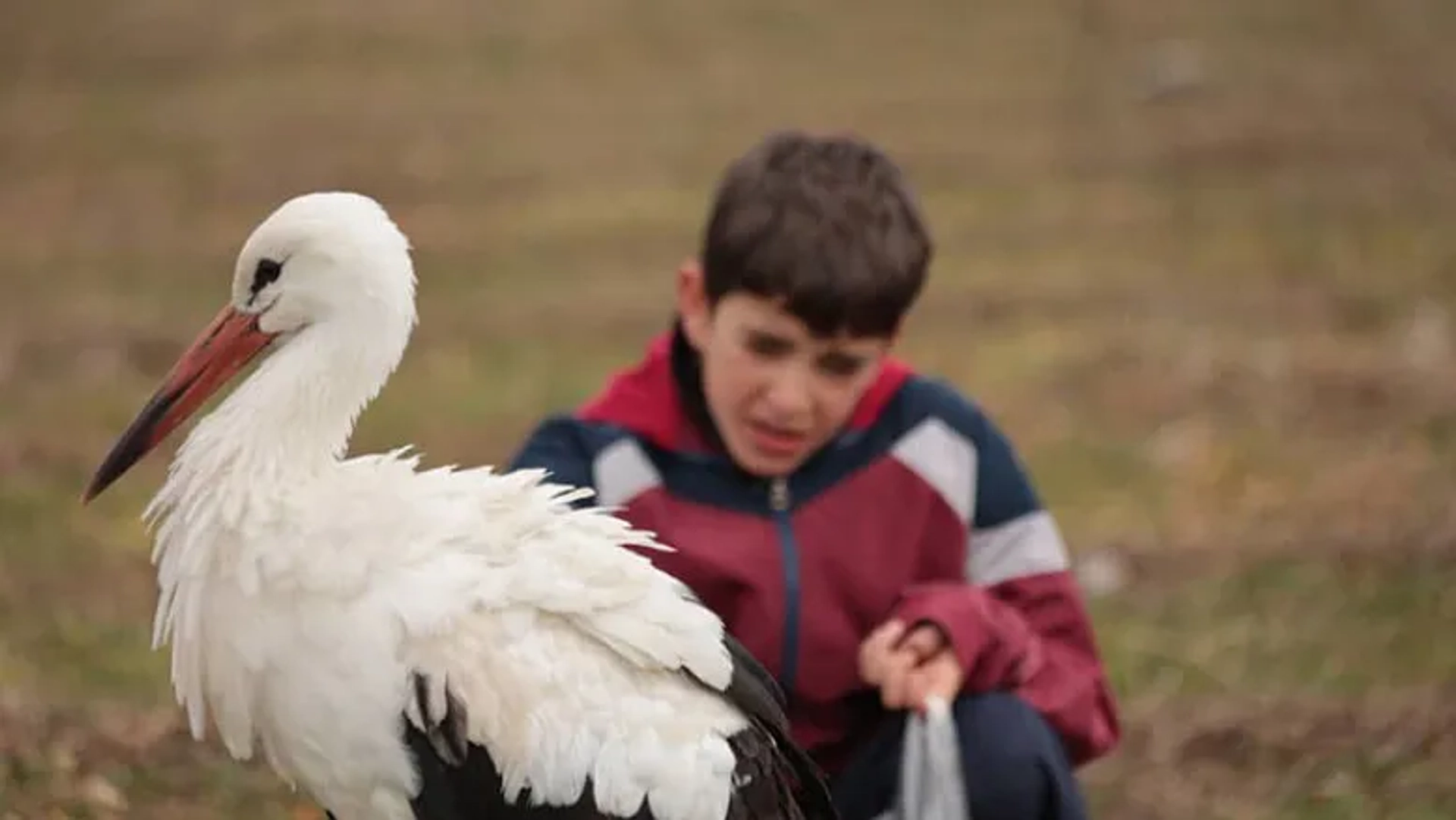 روایت آزادی در مستند «ربین و لک‌لک‌ها»؛ گفت‌وگو با کارگردان اثر