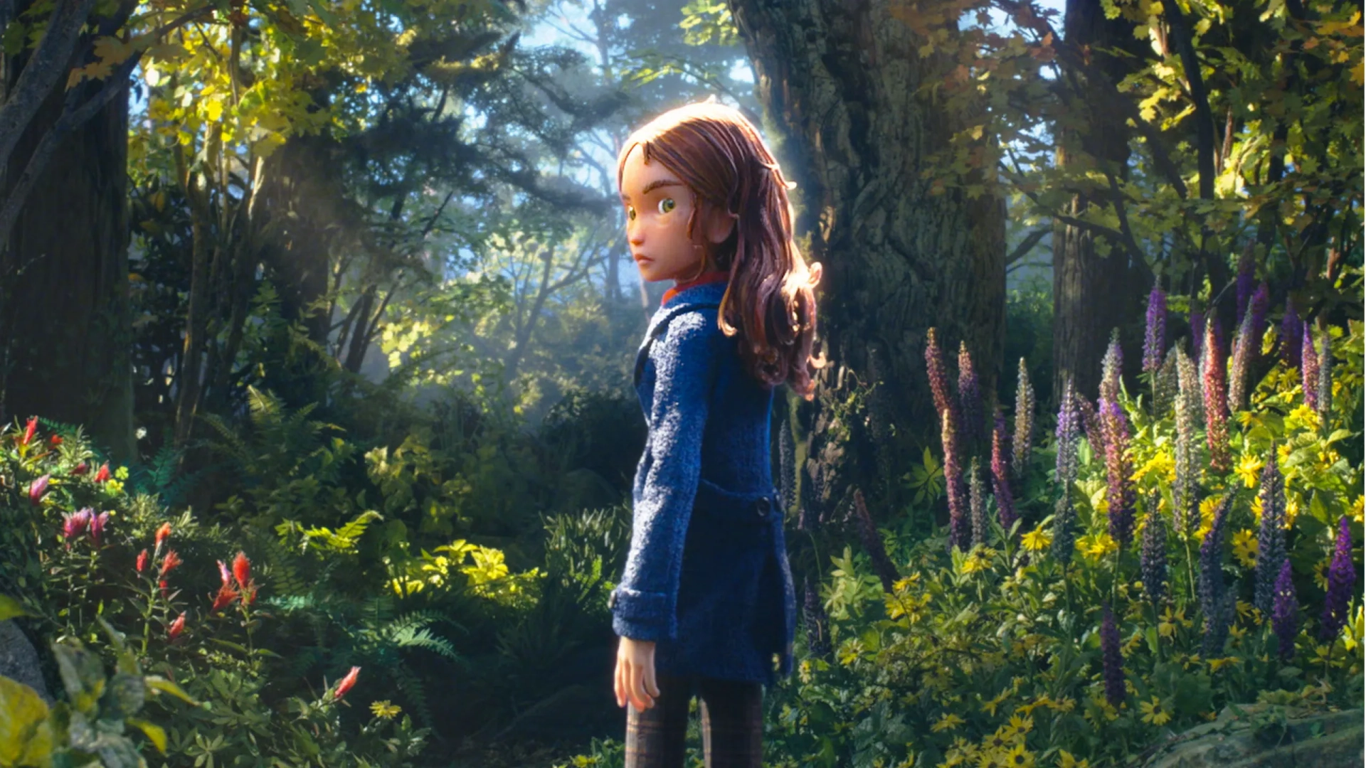 انیمیشن-جنگل-وحشی