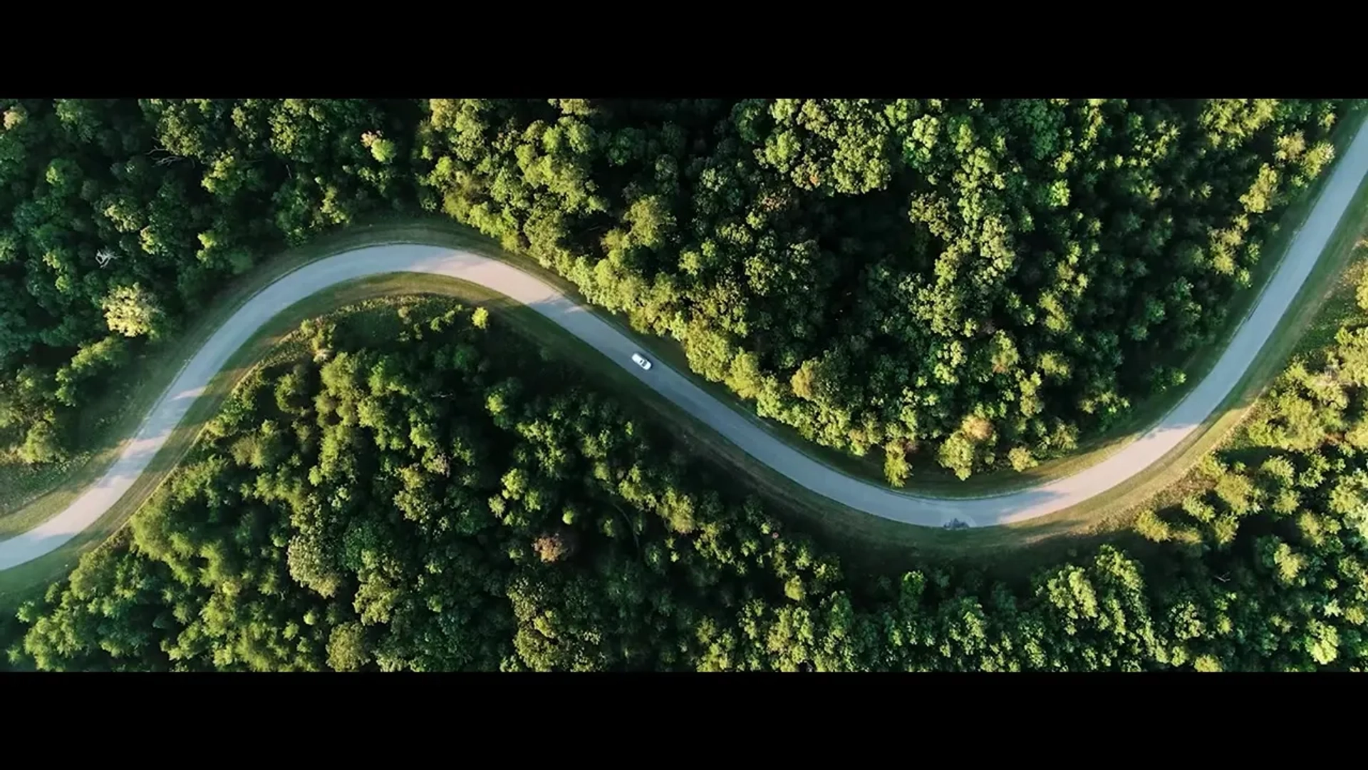 تریلر فیلم تسلیم شدن به آن ۲۰۲۵ Surrender to It