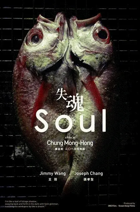 فیلم روح (Soul 2013)