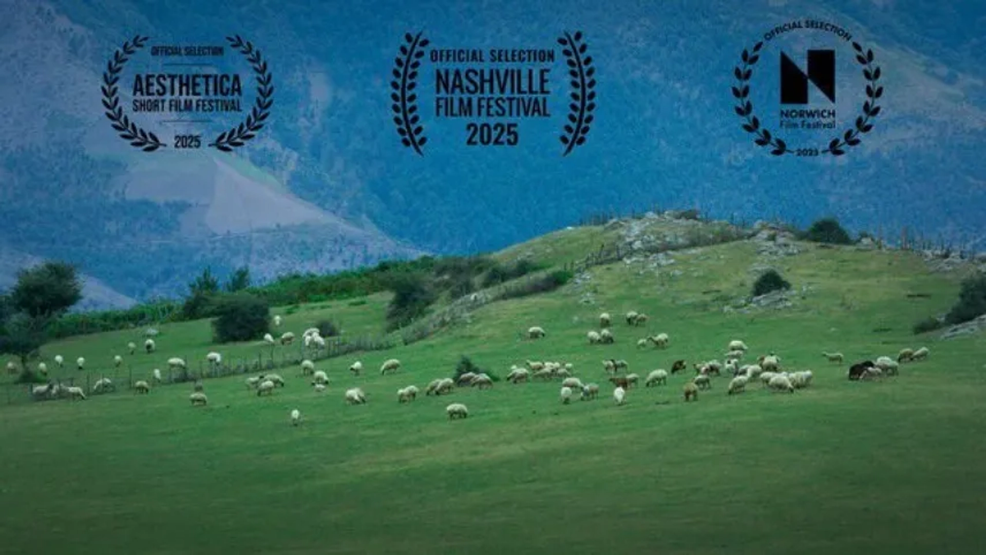 درخشش «گوسفند» در لس‌آنجلس؛ فیلم کوتاه ایرانی رتبه دوم گرفت