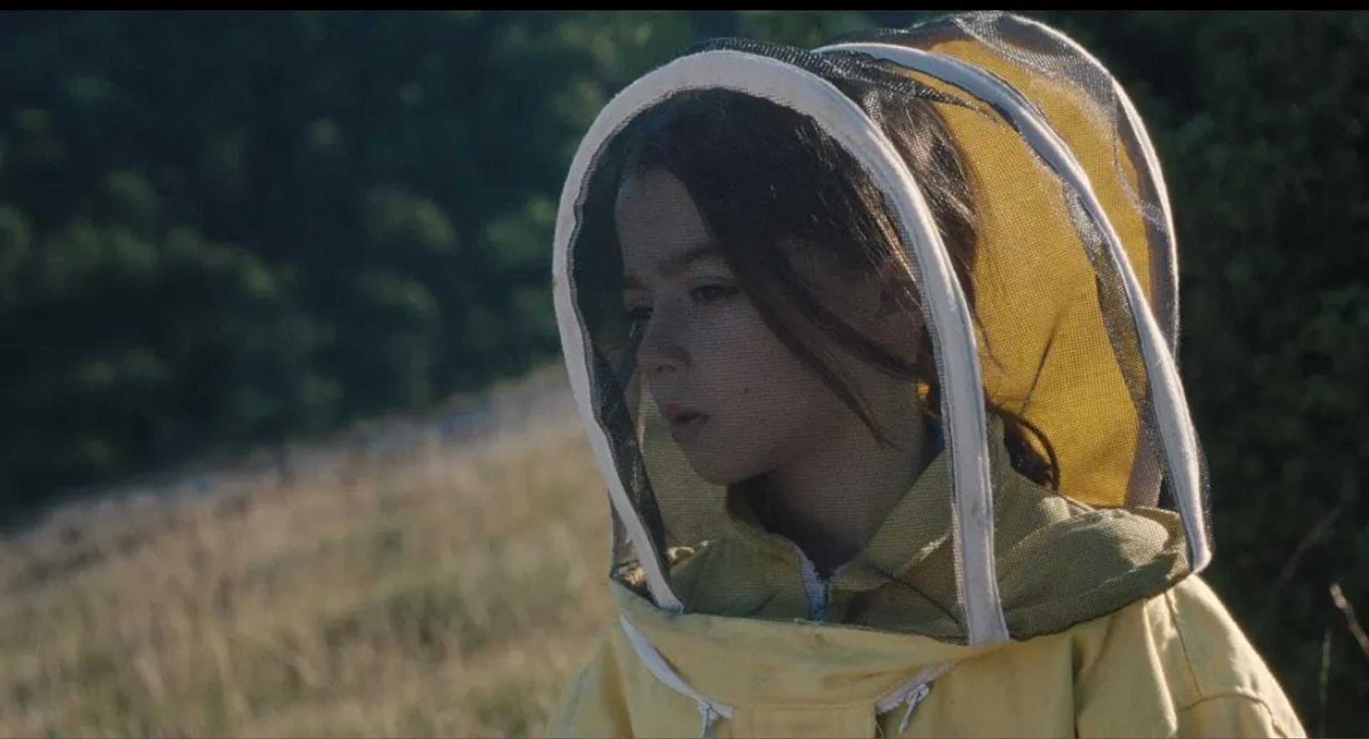 فیلم بیست هزار گونه زنبور (20,000 Species of Bees - 2023)