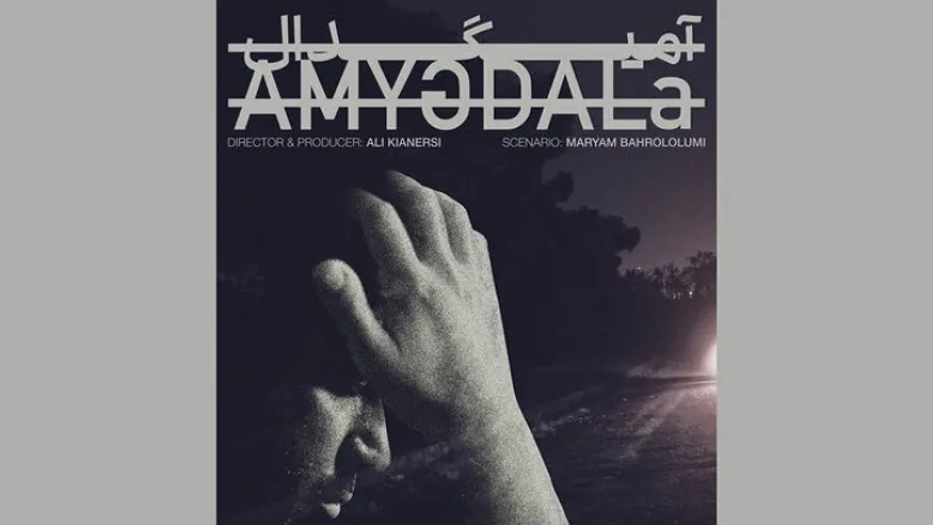 آمیگدال» آماده نمایش شد | تریلر روانشناختی علی کیان‌ارثی