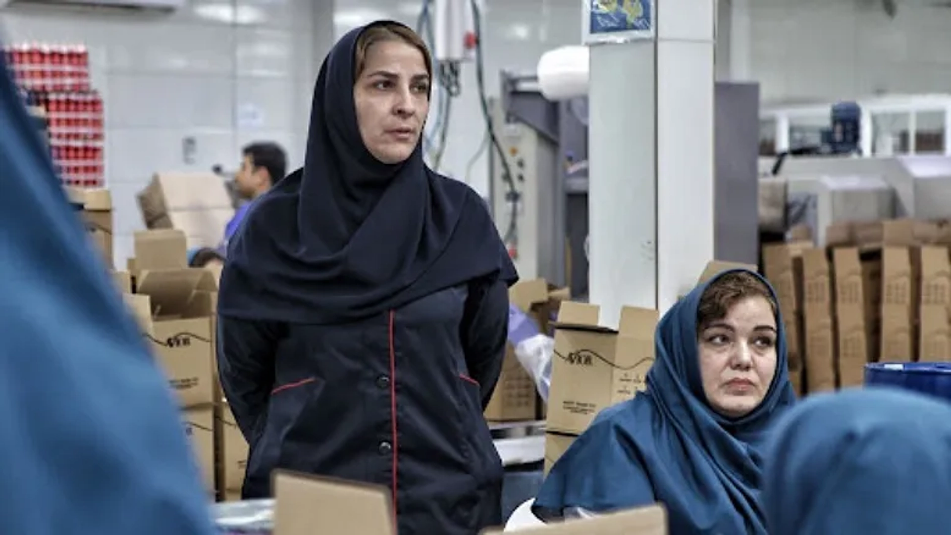 «تاجی» بهترین فیلم بین‌الملل فویل ایرلند شد | راهیابی فیلم ایرانی به اسکار ۲۰۲۷