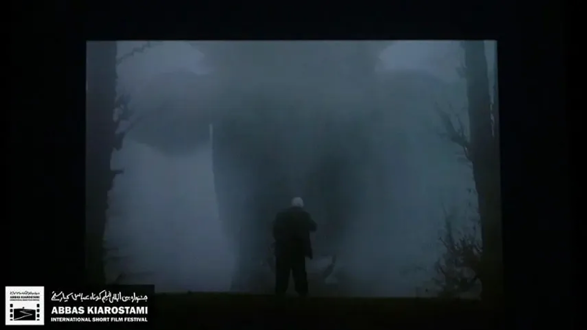 اکران ویژه آثار جشنواره عباس کیارستمی با استقبال مخاطبان