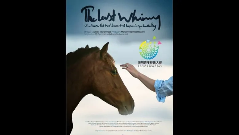 درخشش «آخرین شیهه اسبی که خواب پروانه شدن دیده بود» در رقابت‌های بین‌المللی