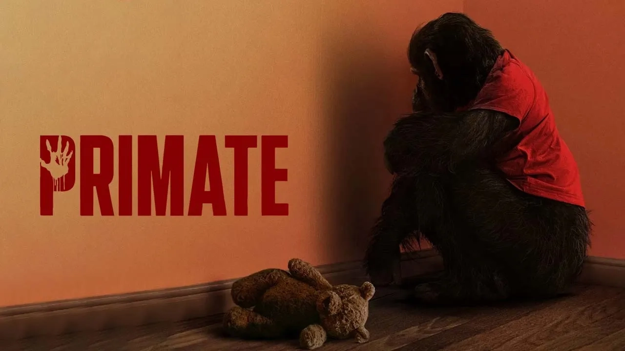 فیلم-پریمات