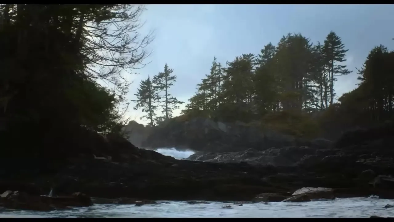 تریلر نهایی فیلم در یک چشم بر هم زدن ۲۰۲۶ In the Blink of an Eye