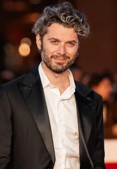 استفانو لودوویچی