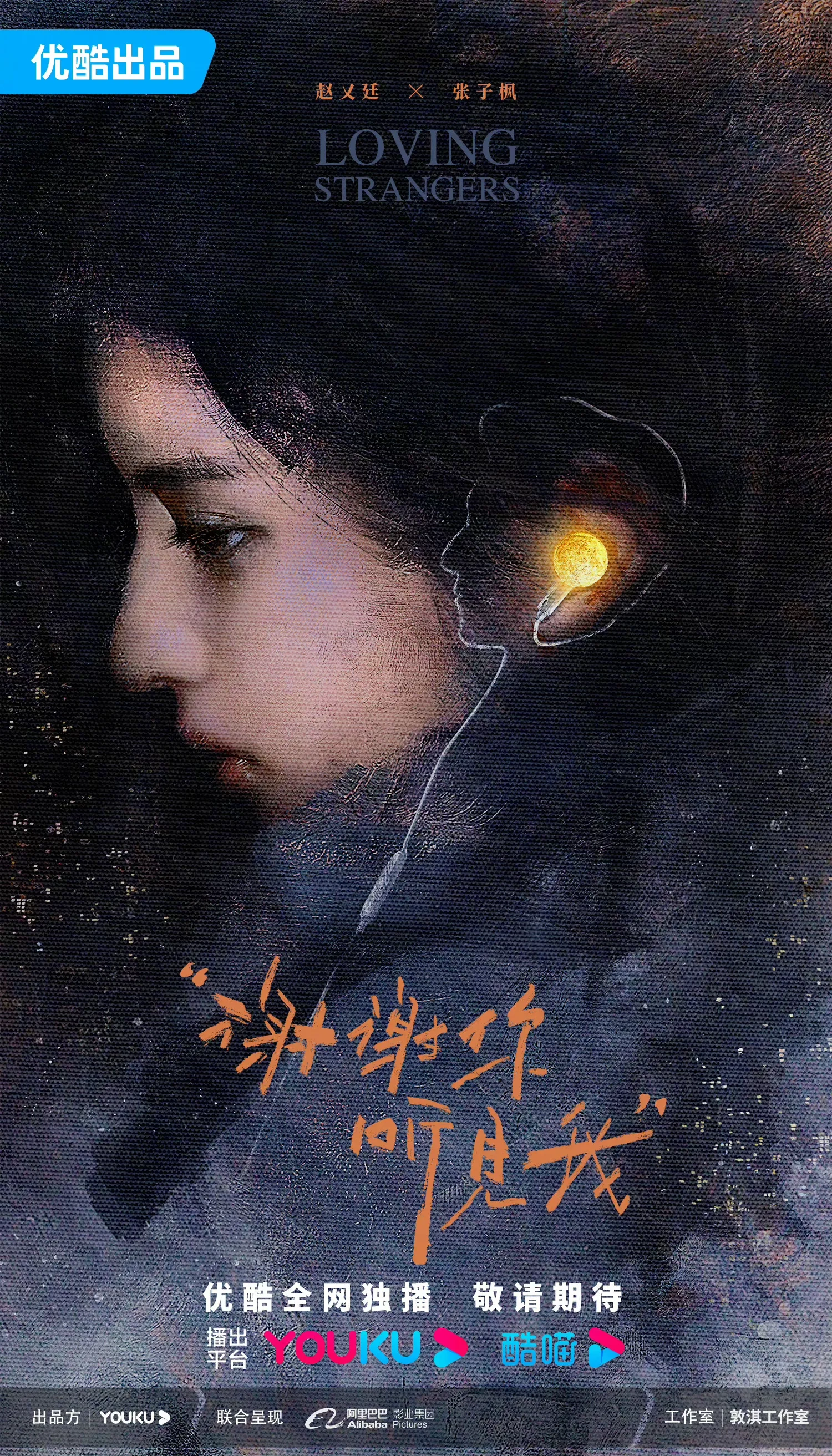 سریال غریبه های عاشق (Loving Strangers 2026)