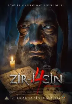 زیری سین ۴: اشتراک گذاری