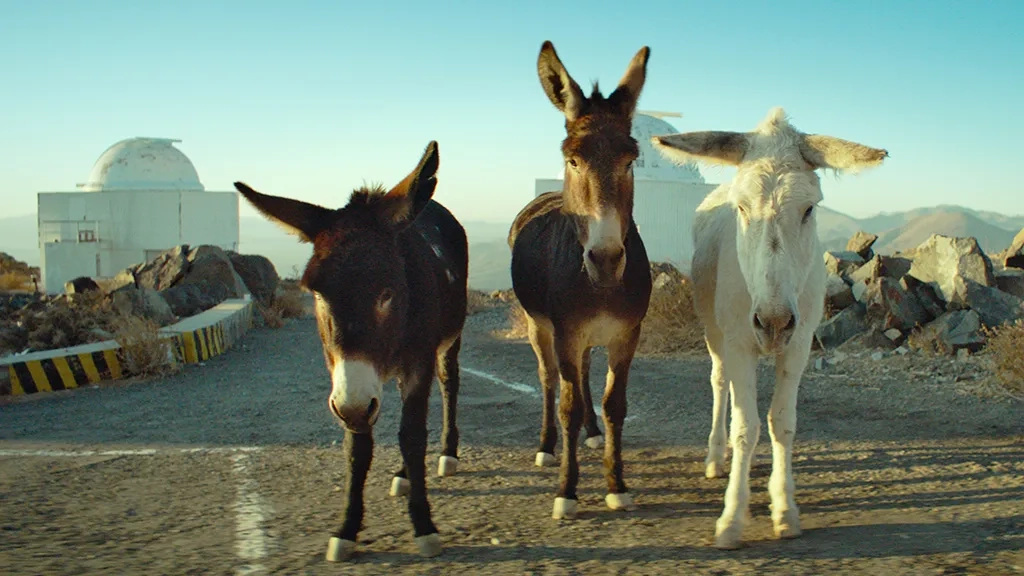 مستند یک بیگانگی کامل (Perfectly a Strangeness 2024)