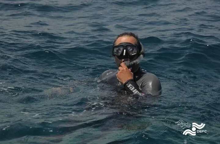 «آخرین کوسه نهنگ» مسافر یک جشنواره تازه شد