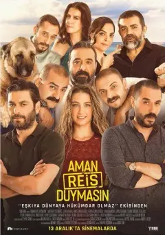 مبادا رئیس بشنود