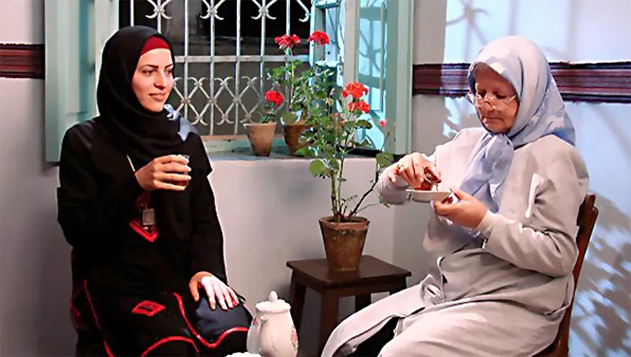 فیلم تابستان عزیز (Grandmother's Summer 2009)