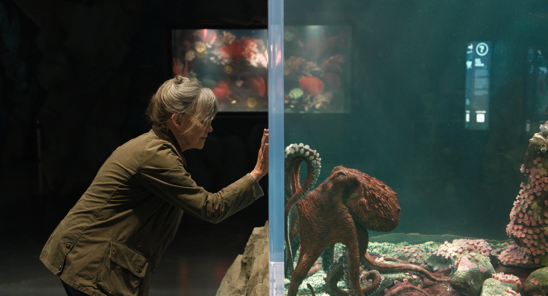 فیلم موجودات بسیار درخشان (Remarkably Bright Creatures 2026)