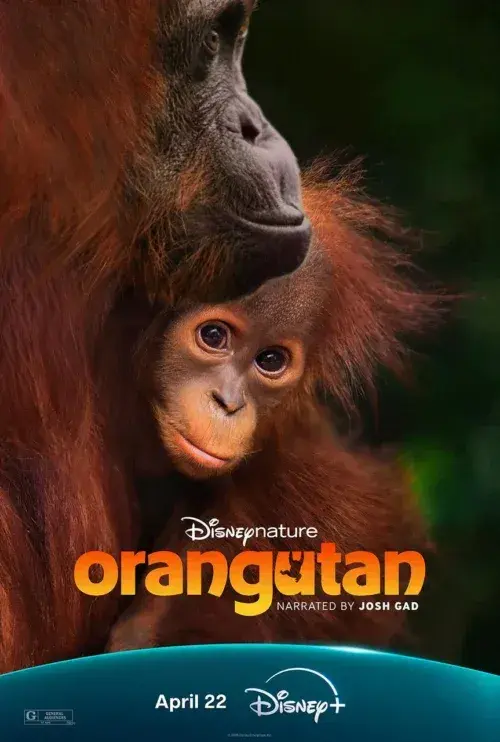 مستند اورانگوتان (Orangutan 2026)