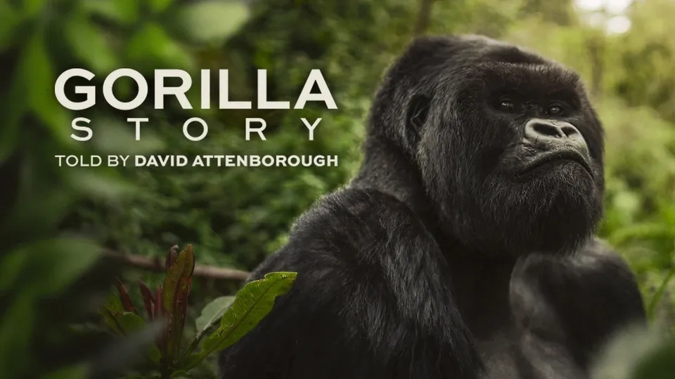 مستند داستان یک گوریل: به روایت دیوید آتنبورو (A Gorilla Story: Told by David Attenborough 2026)