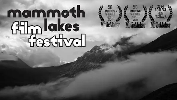 برندگان جشنواره Mammoth Lakes معرفی شدند؛ «Mono 222»، «Dreaming of Lions» و «I Got Bombed at Harvey’s» در صدر