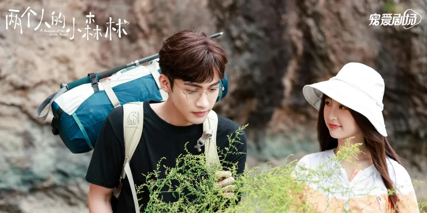 سریال چینی عاشقانه جنگل کوچک (A Romance of the Little Forest 2022)