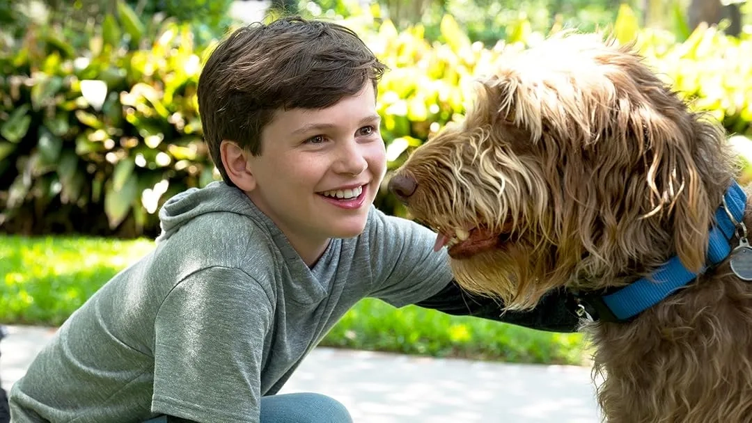 فیلم مثل سگ فکر کن (Think Like a Dog 2020)