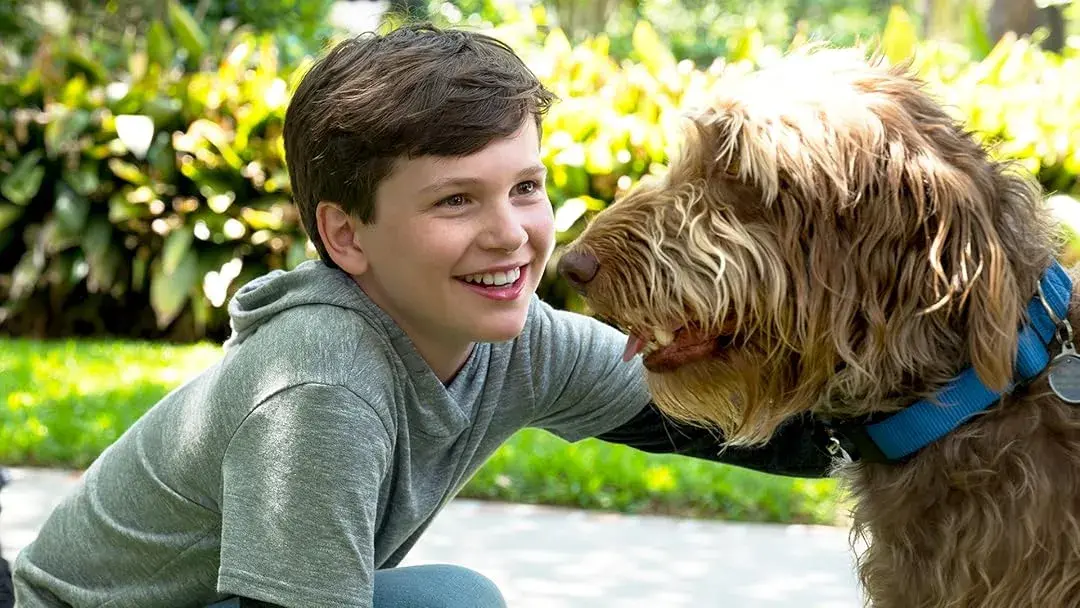 فیلم مثل سگ فکر کن (Think Like a Dog 2020)