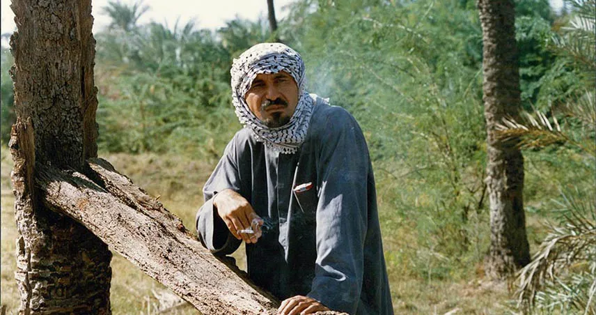 حمید فرخ نژاد در عروس آتش