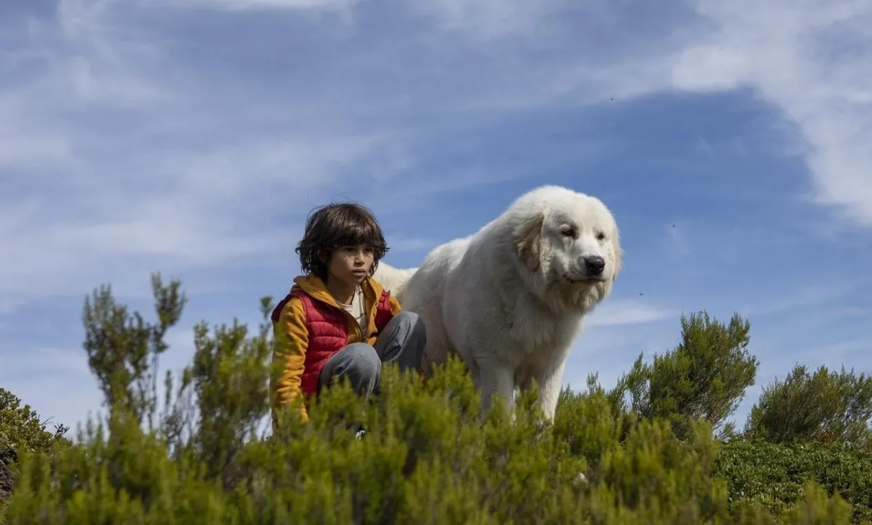 فیلم بل و سباستین: نسل جدید (Belle and Sébastien: The New Generation 2022)